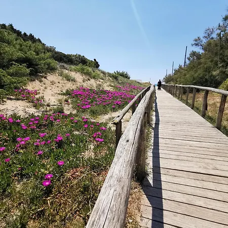 Samana A Con Privata A 住宿加早餐酒店 4*